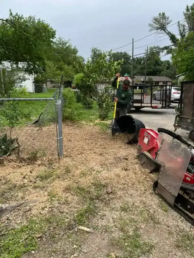 Stump grinding and cleanup service completed in West Lake Hills, Austin TX